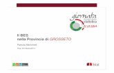 Il BES nella Provincia di GROSSETO · La provincia di Grosseto ha aderito al progetto “ Il BES delle Province” nella seconda fase del progetto a ... Sicurezza Nella dimensione