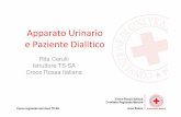Apparato Urinario e Paziente Dialitico › wp-content › uploads › 2018 › 04 › ... · 2019-11-26 · e Paziente Dialitico Rita Cerulli Istruttore TS SA Croce Rossa Italiana.