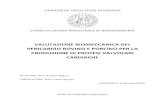 VALUTAZIONE BIOMECCANICA DEL PERICARDIO ...tesi.cab.unipd.it/40201/1/tesi_EMANUELA-MINIO.pdf1.3 Il pericardio 1.3.1 Anatomia ed istologia 1.3.2 Applicazioni del pericardio come biomateriale