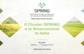 Il Cluster SPRING e la Bioeconomia in Italia › ... › ricerche › FONTANA-7.5.2015.pdf · 2017-11-24 · (mondo agricolo, industriale, istituzionale, no profit), in una logica