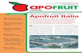 Semestre positivo per Apofruit Italia€¦ · entrambe provenienti dal mondo agricolo, che fossero in possesso dei giusti requisiti per svolgere contemporaneamente due compiti. Quello