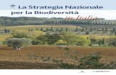 LaStrategiaNazionale perlaBiodiversità inItalia · 2019-02-14 · PlantBiosystems,142(3):540-549. Carta dei Paesaggi d’Italia (1:1.000.000) Carta del Fitoclima d’Italia (1:500.000)