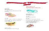 BRUZELLA PIAZZALE BELAUcarnevale-imaruchitt.ch › ... › 02 › Manifesto-2017-A4.pdf · Polenta e merluzzo fritto prenotazione obbligatoria entro il giorno 20 febbraio a: Luca