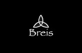 I dettagli che fanno la differenza - Breis S.r.l.s. · internazionalizzazione delle PMI, intraprende il proprio percorso professionale nell'ambito del corporate ﬁnance (fusioni,