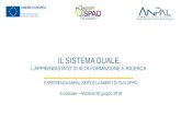 IL SISTEMA DUALEadapt.it/euroduale_docs/Italy-Rome-25/13_ANPAL Servizi... · 2018-07-05 · Il Programma FIxO ha coinvolto in totale: 19 Regioni e due P.A. 75 atenei (l’89% rispetto