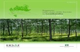 Rapporto sullo stato delle foreste Lombardia al 31 dicembre 2012 · Modulo 1 – CONSISTENZA E QUALITÀ DELLE FORESTE ... 8 Ricerca nel settore forestale 14 Modulo 3 - IL SISTEMA