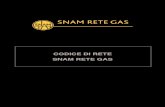 CODICE DI RETE SNAM RETE GAS · Codice di Rete Gli operatori Oper - 3 Utente E' l'utilizzatore del sistema gas che, tramite conferma della capacità conferit a, acquista capacità