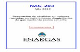 En consulta Pública...En consulta pública NAG-203 Año 2019 4 PRÓLOGO La Ley N.º 24.076 –Marco Regulatorio de la Actividad del Gas Natural– crea en su artículo 50 el ENTE