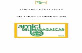 2018 RELAZIONE MISSIONE 2018 - Amici del …...1. Identità Siamo gli “Amici del Madagascar”, Associazione di volontariato nata in modo informale nel 1989, legalmente costituita
