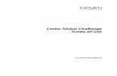 Cesim Global Challenge Guida all’uso C.pdf · Consiste in un supporto di calcolo e ha 3 tipi di input: 1. Nelle celle bianche devi inserire le tue decisioni. Alcune decisioni come
