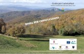 Guida per i selvicoltori - SUN LIFE Umbria › wp-content › uploads › 2017 › 11 › Guida... · 2017-11-02 · 6 Regione Umbria 7 Regione Umbria Per quanto riguarda le attività