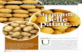 quante patate belle...li Graveglia e Fontanabuona, con una produzione per il 2008 stimata a 15 ... metri slm, accanto alle varietà italiane o estere di recente intro-duzione vengono