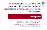 Meccanismi di azione dei prodotti fitosanitari e basi ... › UserFiles › File › Convegno-Roma-resistenza-a-prodotti-f… · Meccanismi di azione dei prodotti fitosanitari e basi