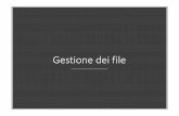 Gestione dei file - Politecnico di Milano · La gestione dei file in C •Il file è un’astrazione dei sistemi informatici •“nastro” di I/O •supporto di comunicazione macchina/ambiente