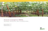 Acacia mangium Willd. : ekologi, silvikultur dan produktivitas › publications › pdf_files › Books › BKrisnawati1106.pdfoleh para petani di Indonesia, baik di lahan milik maupun