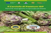 Il Carciofo di Paestum IGP · 2018-12-29 · Food. Grazie alle sue caratteristiche, veramente uniche, il Carciofo Tondo di Paestum ha ottenuto il riconoscimento di prodotto IGP nel