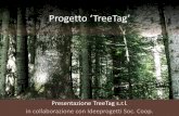 Presentazione standard di PowerPoint · 2015-06-03 · Presentazione TreeTag s.r.l. ... Il programma LifePlus Politica e normativa comunitaria in materia ambientale Natura e Biodiversità
