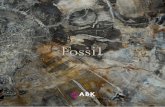 Cat Fossil OK - Tilelook · Antico legno alpino recuperato da costruzioni dismesse e trattato per l’ultilizzo in parete e a pavimento. Ogni pezzo è unico e irripetibile. Antique