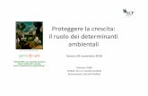 Proteggere la crescita: il ruolo dei determinanti ambientali · 2016-12-21 · ambientechecambia»(Parma2010). Quinta Conferenza Ministeriale Ambiente e Salute «Proteggere la salute
