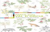 PARCO della VAL D’ORCIA · 2017-03-30 · d’Orcia, sulla strada che conduce verso Chianciano Terme, si estende per 1.148 ettari la Riserva Naturale di Lucciolabella. La riserva
