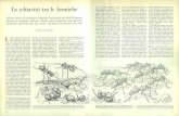 La schiavitù tra le formichedownload.kataweb.it/mediaweb/pdf/espresso/scienze/1975_086_3.pdf · La schiavitù tra le formiche Alcune specie di formiche compiono incursioni nei nidi