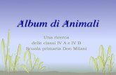 Album di Animali · 2016-03-02 · centimetri, la cui apertura è delimitata da un “parapetto” costruito con vari detriti. Il ragno si nasconde nella tana ed attende il passaggio