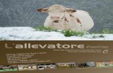 Rivista della Federazione Provinciale Allevatori …to Interviste Dallapiccola, Rauzi e Tonina Controlli sanitari bestiame Filiera letame di qualità Elite Bolzano 2013 Rassegne Haflinger