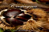 Castagna - LIBRICETTE.euQuesto e-book, nato da un’idea di Silvia Leoncini, è frutto della mia collaborazione con l’autrice e con gli altri food blogger che fanno parte di LIBRICETTE.eu,