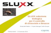 SLUXX soluzione biologica per il controllo di chiocciole e ... · SLUXX soluzione biologica per il controllo di chiocciole e limacce FORUM BARI – 13 Dicembre 2012 Emanuele Medico