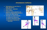 Centro di Ricerca Enrico Piaggio - Articolazione …...2014/03/31  · • Artroprotesi di Charnley: pietra di paragone per i risultati delle nuove protesi • Studia avanzati in –