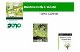 Biodiversità e saluteecoone.org/attachments/article/6/08_Caretta_Biodiversita...• 20.000 specie vegetali incluse nella lista dell’OMS come piante medicinali. • Oltre la metà