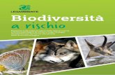 Biodiversità a rischio - Legambiente...Biodiversità Rapporto sullo stato di salute delle specie viventi, sui principali fattori di rischio e sulle strategie da adottare per far fronte