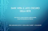 Dark Web: Il lato oscuro della rete · - Molti motori di ricerca specializzati in campi di interesse specifico - Ancora diverse collezioni di siti curate a mano. ESEMPIO: MOTORE DI