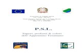 PSL Leader Teramano 2013 - Abruzzo · 3 1.1 GAL e partenariato pag. 3 1.2 Consultazione partenariato pag. 5 2.TITOLO DEL PIANO DI SVILUPPO LOCALE (PSL) pag. 9 3.AREA GEOGRAFICA INTERESSATA