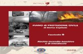 PIANO di PROTEZIONE CIVILE - Roma Capitale...previsione prevenzione e lotta attiva agli incendi boschivi periodo 2011‐2014”. Deliberazione di Giunta Capitolina 14 aprile 2017,