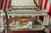 L’applicazione della tecnologia delle microonde al trattamento … · 2004-06-14 · LE MICROONDE ¾Le microonde sono onde elettromagnetiche di lunghezza d’onda compresa tra 1