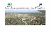 La depurazione in Puglia · 2018-05-24 · Puglia, come si evince dal dossier Mare Monstrum 2013 di Legambiente, è la quarta regione a livello nazionale per numero di illeciti riscontrati