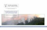 Incendi boschivi nel 2011 nel Friuli Venezia Giulia · al sistema regionale AIB ed elevati costi di intervento anche per il prolungato utilizzo di mezzi aerei; questo incendio ha