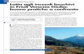 ANTINCENDIO BOSCHIVO Lotta agli incendi boschivi in Friuli ... · mazione AIB sempre più professionalizzante, sia l’affidamento dei servizi di volo elicotte-ristico, a mezzo della