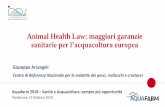 Animal Health Law: maggiori garanzie sanitarie per l ...€¦ · Norme più semplici e più chiare richiederanno meno tempo, consentendo alle autorità e a tutti gli interessati di