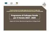 Programma di Sviluppo Rurale per il Veneto 2014 -2020 · esecuzione si ricorre al sostegno del FEASR. Programmazione 2014 -2020. ... Struttura del Psr Veneto 2014-2020 ... Il SI per