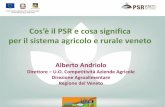 Cos’è il PSR e osa signifia - Veneto Agricoltura · Il fondamento del PSR 2014-2020 è: Regolamento (UE) 1305/2013 Articolo 3 Missione Il FEASR contribuisce alla realizzazione