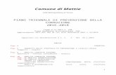 Comune di Mattie - sito ufficiale€¦ · Web viewComune di Mattie Città Metropolitana di Torino PIANO TRIENNALE DI PREVENZIONE DELLA CORRUZIONE 2016-2018 Legge 6.11.2012 n. 190