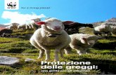 Protezione delle greggi · 2016-11-16 · WWF Svizzera 5 Protezione delle greggi: una guida per gli allevatori Recinzioni Ogni qual volta parleremo di recinzioni elettrificate all’interno