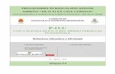 P.O.C - E.4. Relazione Idraulica e Idrologia...2016/11/15  · PROGRAMMA DI RIQUALIFICAZIONE AMBITO “AR (S-F) EX CISA-CERDISA” ATTUAZIONE DELLO SCHEMA DI ACCORDO AI SENSI DELL’ART