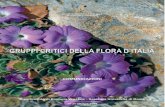 Gruppi critici della Flora d'Italia · 2009-11-28 · Dipartimento per lo Studio del Territorio e delle sue Risorse, Università di Genova, Corso Dogali, 1/M – 16136 Ge-nova; e-mail