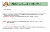 ENERGIA DALLE BIOMASSE · 2018-07-20 · ENERGIA DALLE BIOMASSE LA TECNOLOGIA: come si trasformano le varie forme di biomassainenergiaeaqualeuso? B BIOGAS I biogas sono una miscela