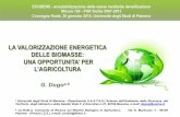 LA VALORIZZAZIONE ENERGETICA DELLE BIOMASSE: UNA ...ecodens.it/wp-content/uploads/2014/05/1-Prof_G... · biomasse vegetali dalle quali ottenere energia. !A tale percorso possono essere
