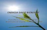 ENERGIA DALLE BIOMASSE - IIS Basilio Focaccia - Salerno · 2019-05-01 · Stato dell'arte dell‟impiego di biomasse nel mondo Ad oggi, le biomasse soddisfano il 15% circa degli usi