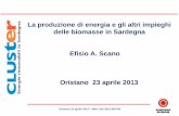 La produzione di energia e gli altri impieghi delle …La produzione di energia e gli altri impieghi delle biomasse in Sardegna Efisio A. Scano Oristano 23 aprile 2013 Oristano 23